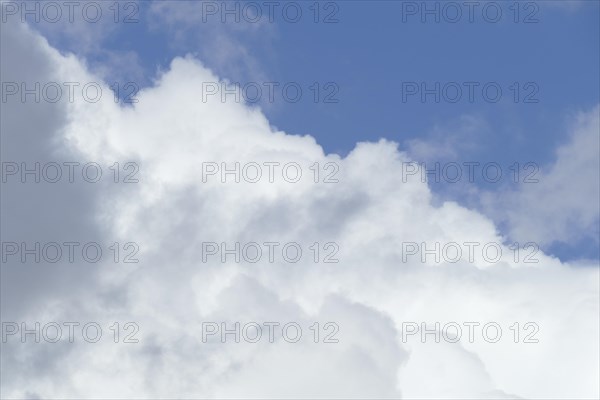 White spring clouds