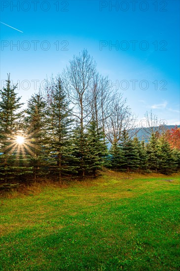 Sun star in autumn under a blue sky