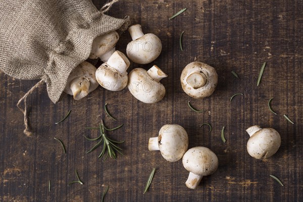 Top view fresh mushrooms arrangement. Resolution and high quality beautiful photo