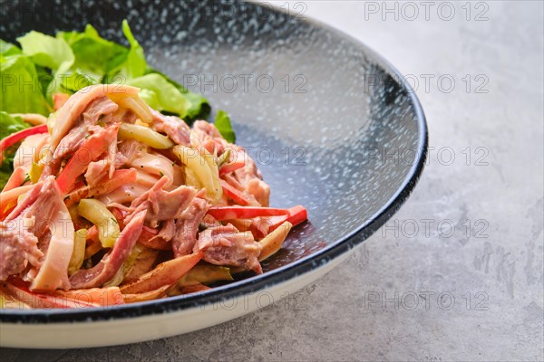 Closeup view of salad with pulled beef and vegetables