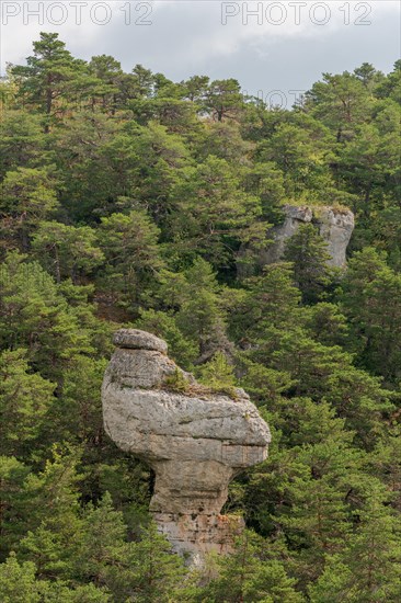 Remarkable rock called La Poule de Houdan in Cevennes National Park