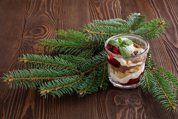 Delicious tiramisu dessert with cherry in rustic pot on dark wooden background