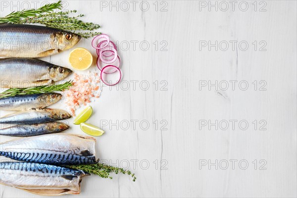 World food day concept. Seafood day. Composition with fresh herring