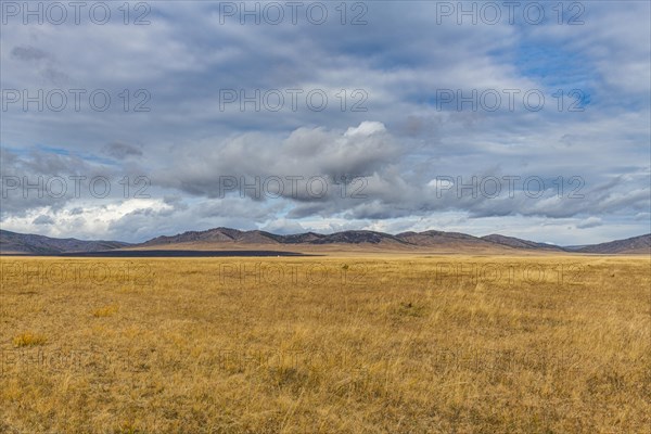 Steppe scenery