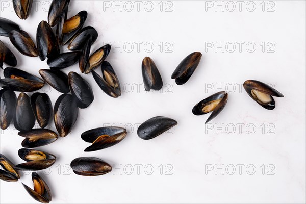 Scattered mediterranean mussels flat lay