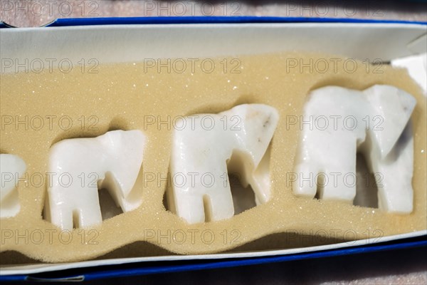 Set of figurines of elephants made of marble in box