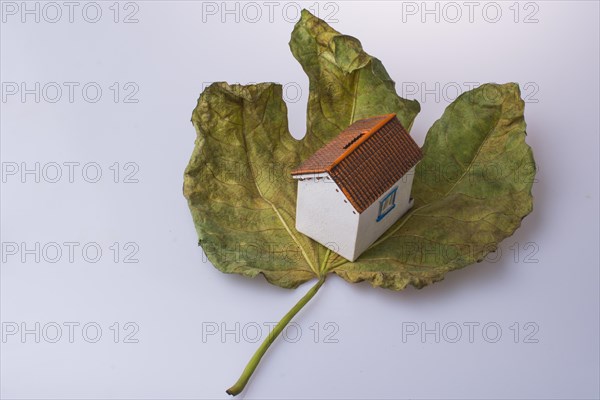 Little model house placed on a large Autumn leaf