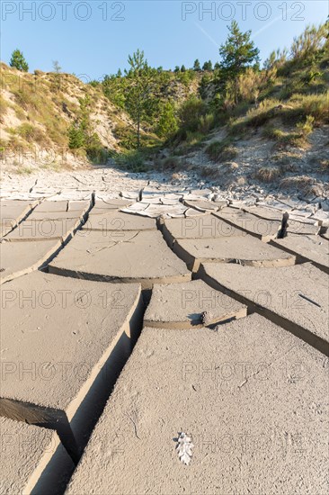 Cracking in clay soil during drought in summer. Drome