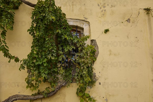 Yellow cracked house wall