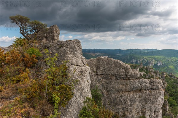 The city of stones