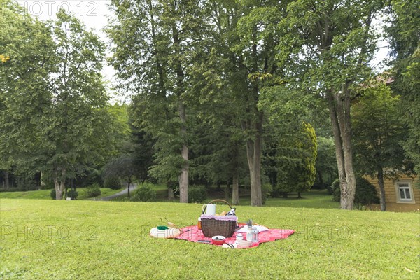 Picnic basket grass field