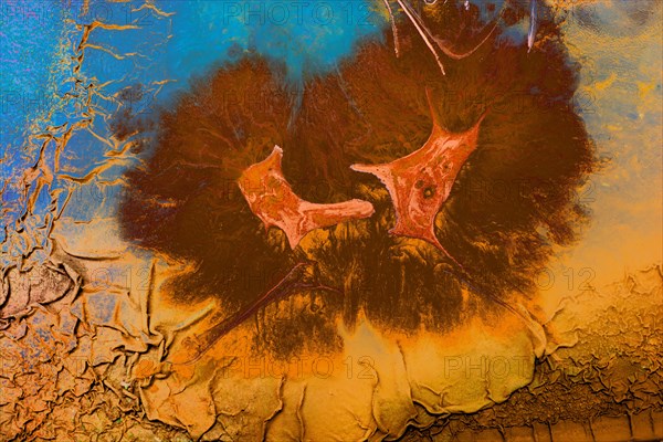 Ebru marbling handmade art