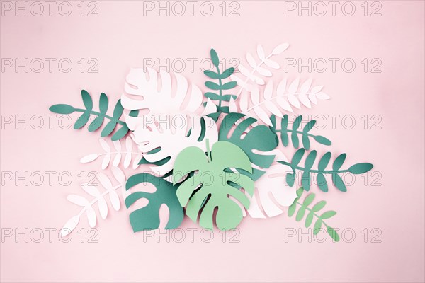 Tropical plants style cut paper. Resolution and high quality beautiful photo