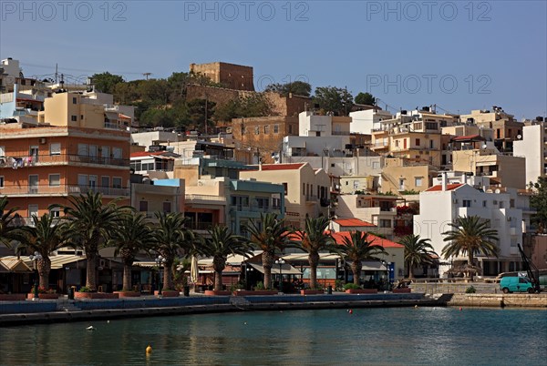 Sitia