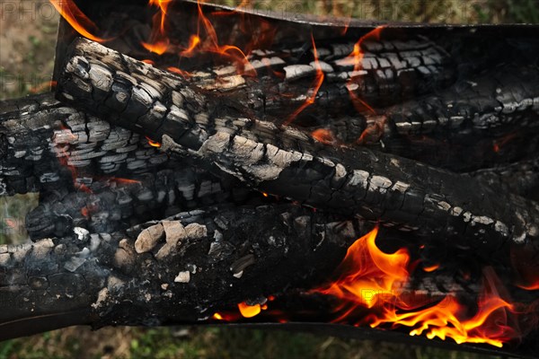 Close up view of burning firewood in the fire outdoor