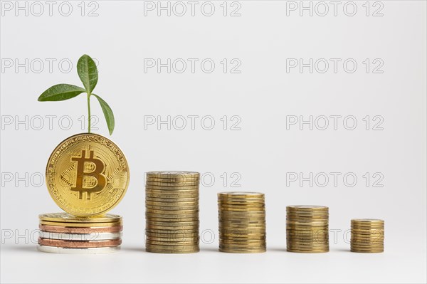 Piles bitcoin with plant