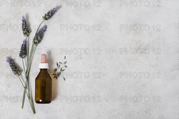 Top view glass bottle lavender copy space 1. Resolution and high quality beautiful photo