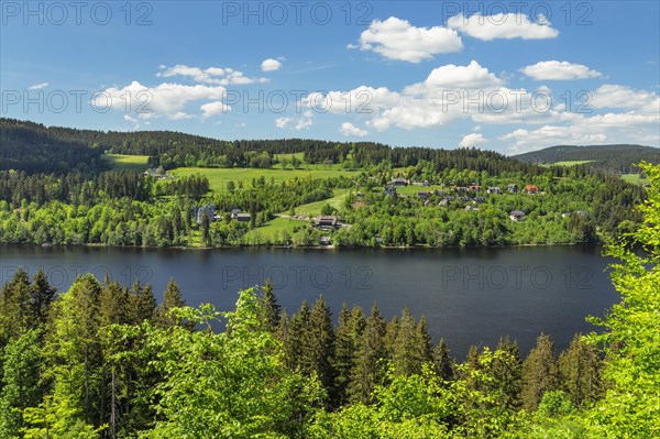 View over the Titisee