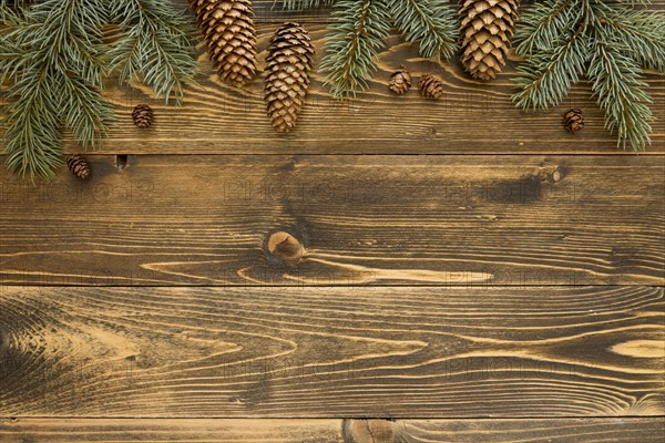 Top view natural pine needles wooden board. Resolution and high quality beautiful photo