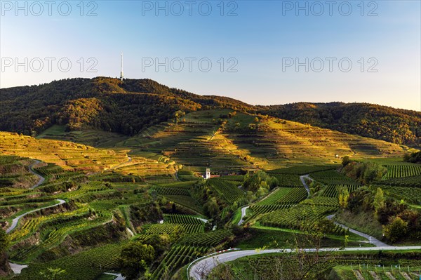 Village in the vineyards