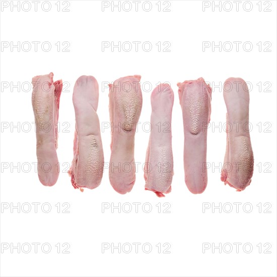 Fresh raw lamb tongue isolated on white background