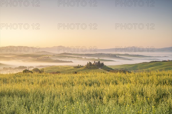 Podere Belvedere