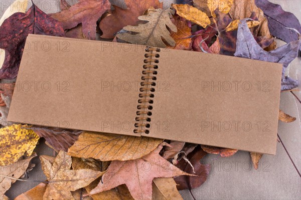 Open blank notebook with fallen autumn leaves as a background