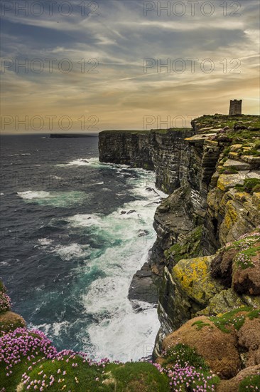 High above the cliffs