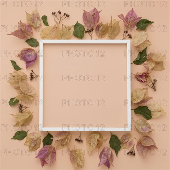 Top view of colorful autumn leaves with frame. Resolution and high quality beautiful photo