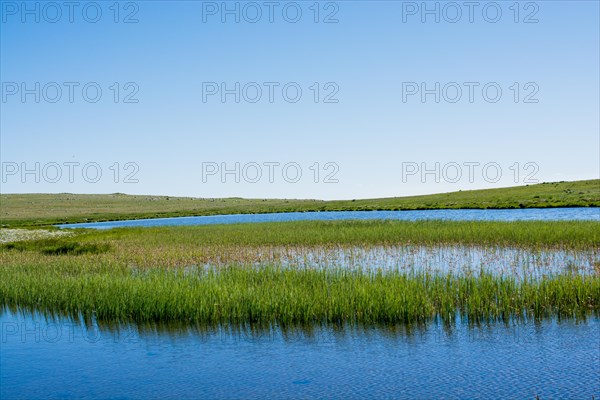 Highland lake in green natural background in Artvin province of Turkey