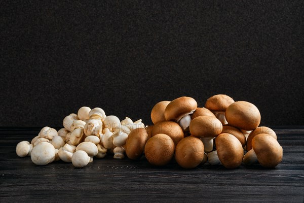 White and brown champignon on dark wooden background