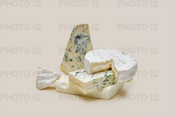 Various types of blue mold cheese