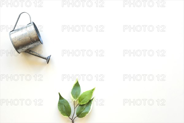 Watering pot green leaf. Resolution and high quality beautiful photo