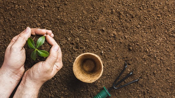 Top view gardener planting. Resolution and high quality beautiful photo