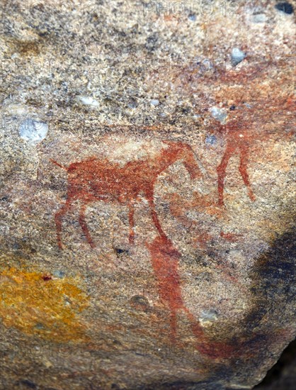 Ancient San Rock Art