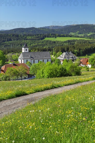 View over Breitnau to the Feldberg in spring