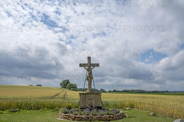 Field cross