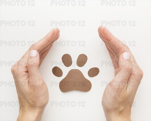 Top view of hands protecting paw print for animal day. Resolution and high quality beautiful photo
