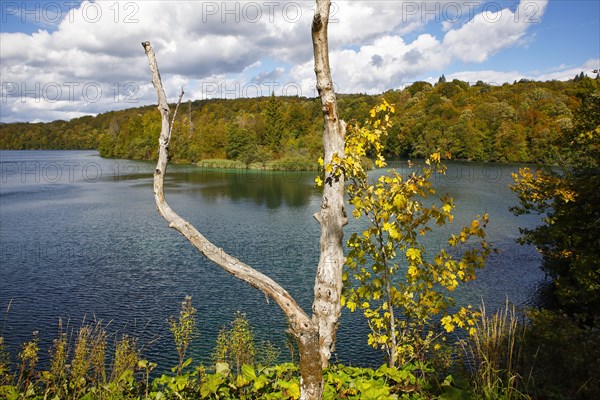 Plitvice Lakes National Park