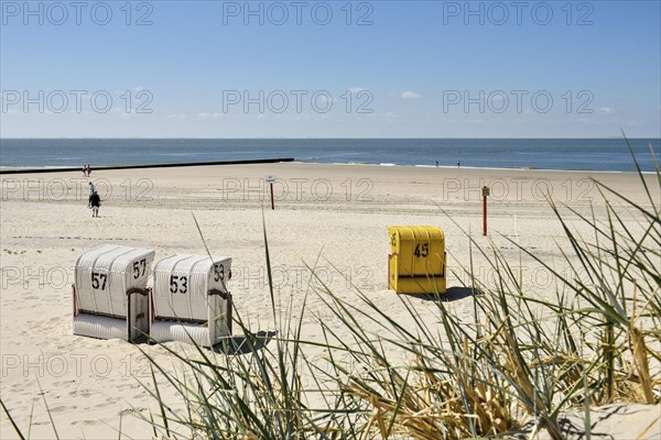 Beach chairs in the sandy beach