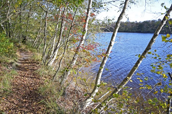 Hiking trail