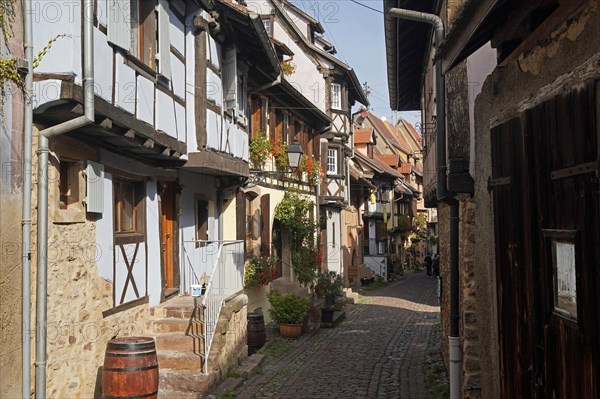 Colourful half-timbered houses in the historic old town of Eguisheim