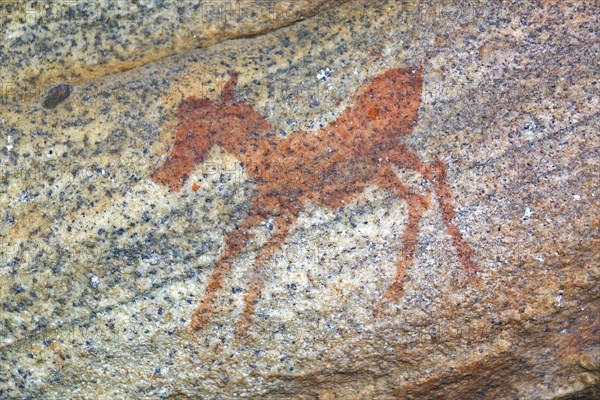 Ancient San Rock Art