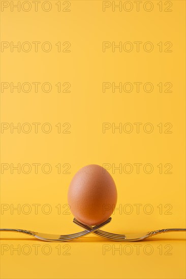Brown chicken egg standing on two crossed forks on yellow background
