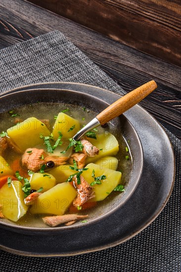 Red salmon fish soup with potato and carrot