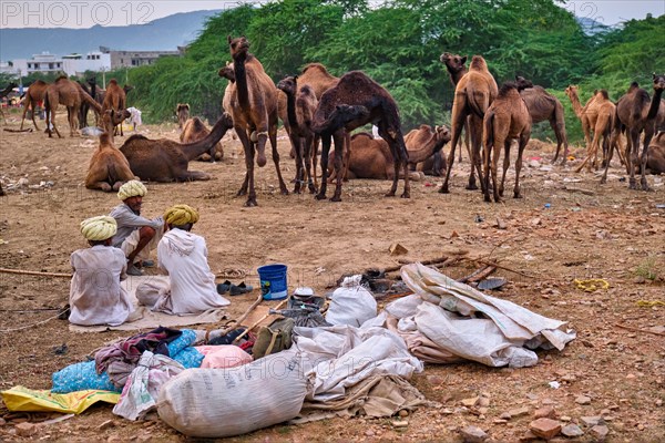 Pushkar