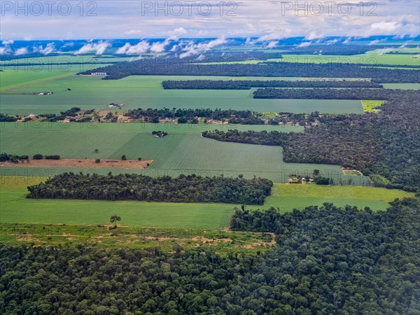 Aerial of the giant soy fields around Sinop