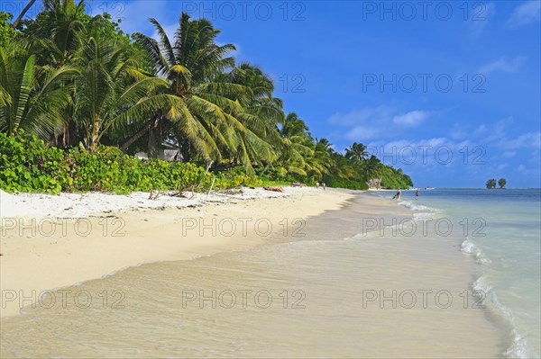 Dream beach Anse La Reunion