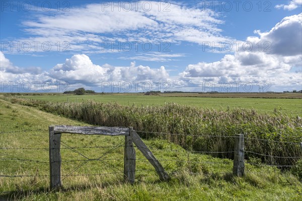 Landscape on the North Sea island of Foehr