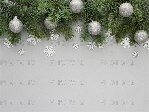 Christmas fir branch with copy space